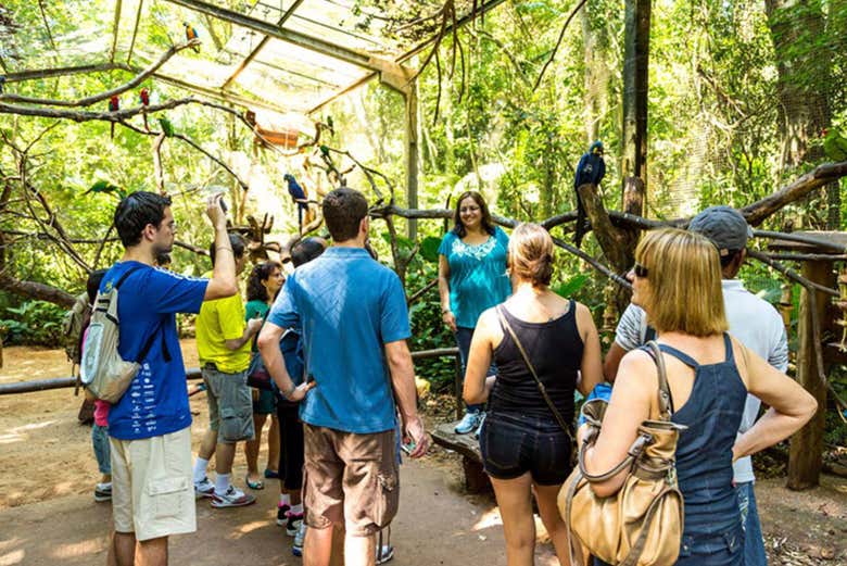 Visitando o parque